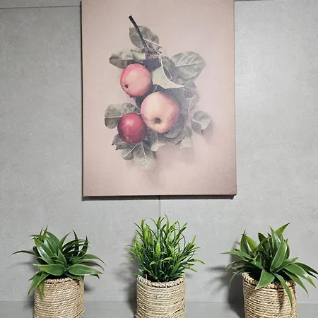 Apartmán Bohemian Loft Praha